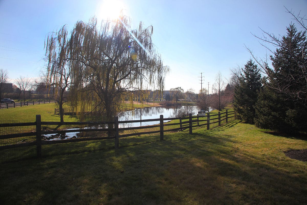 Heritage Orchard Hill Image 4