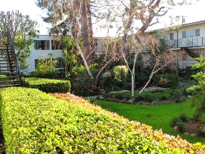 The Continental Arcadia Image 1