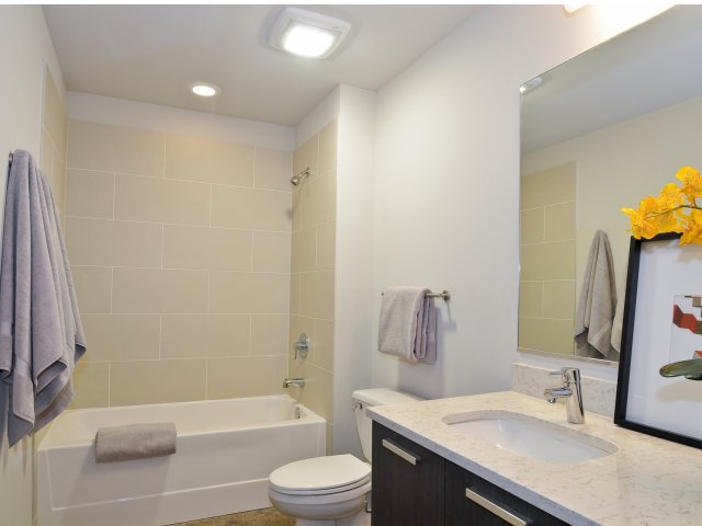 Luxury Baths with Soaking Tubs and Subway Tile Surrounds