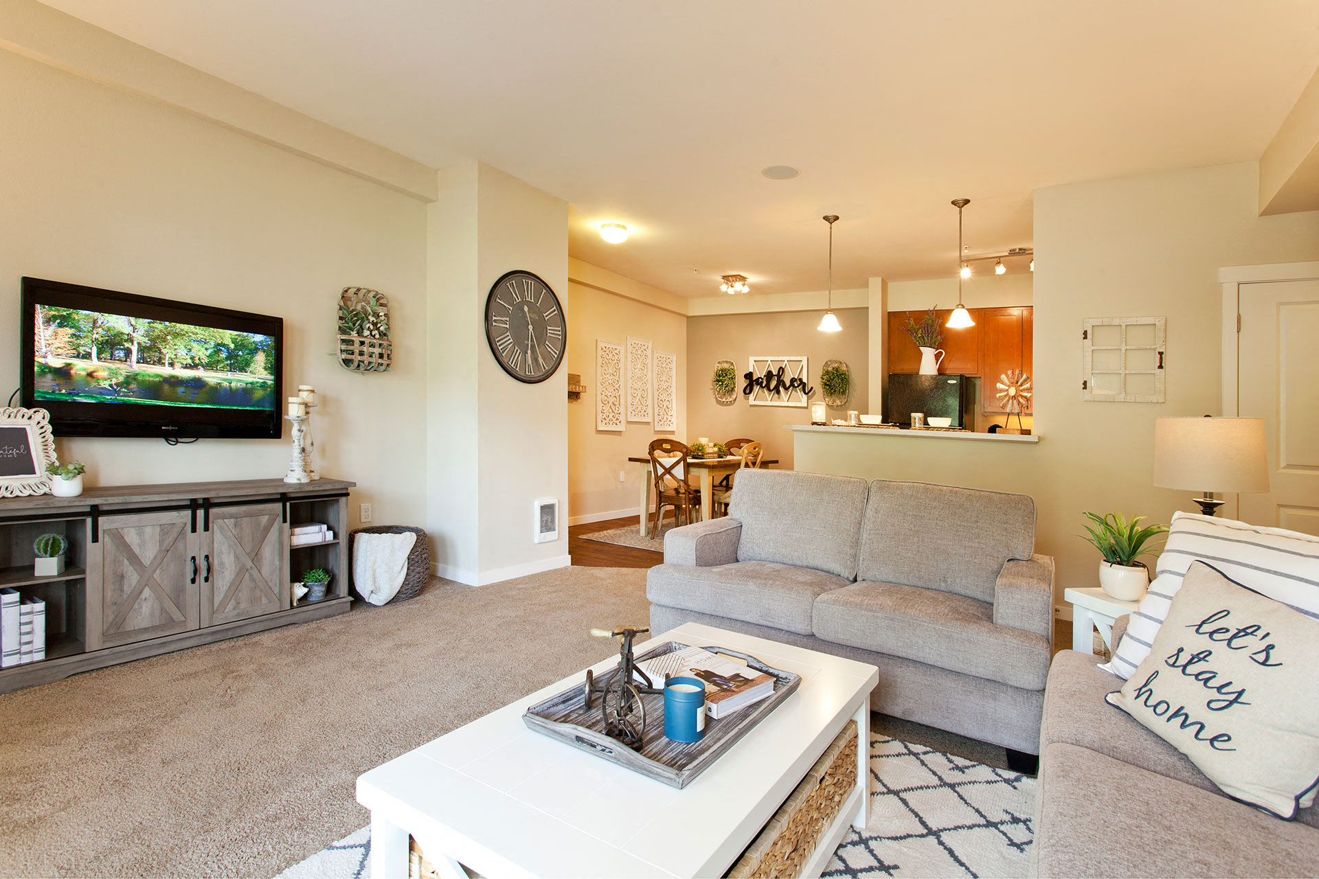 Flat Screen TV Walls