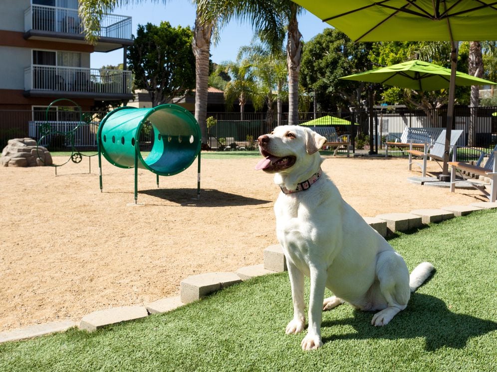 WAG Pet Park