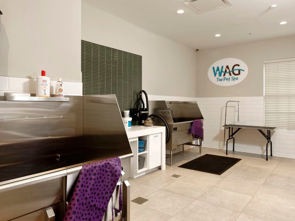 WAG pet spa with bathing area and grooming equipment