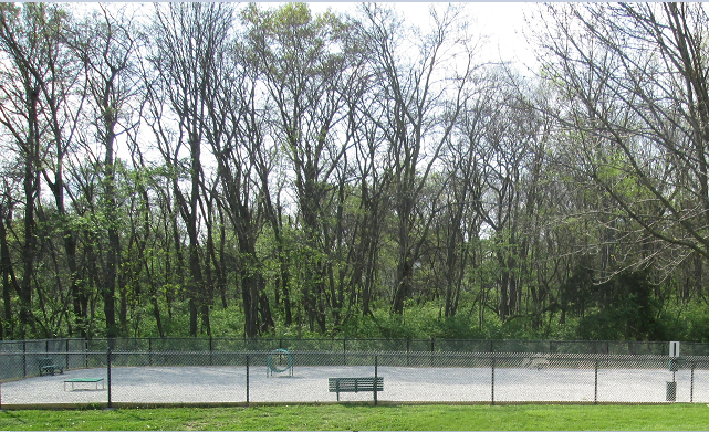 Greenmar Apartments Image 8