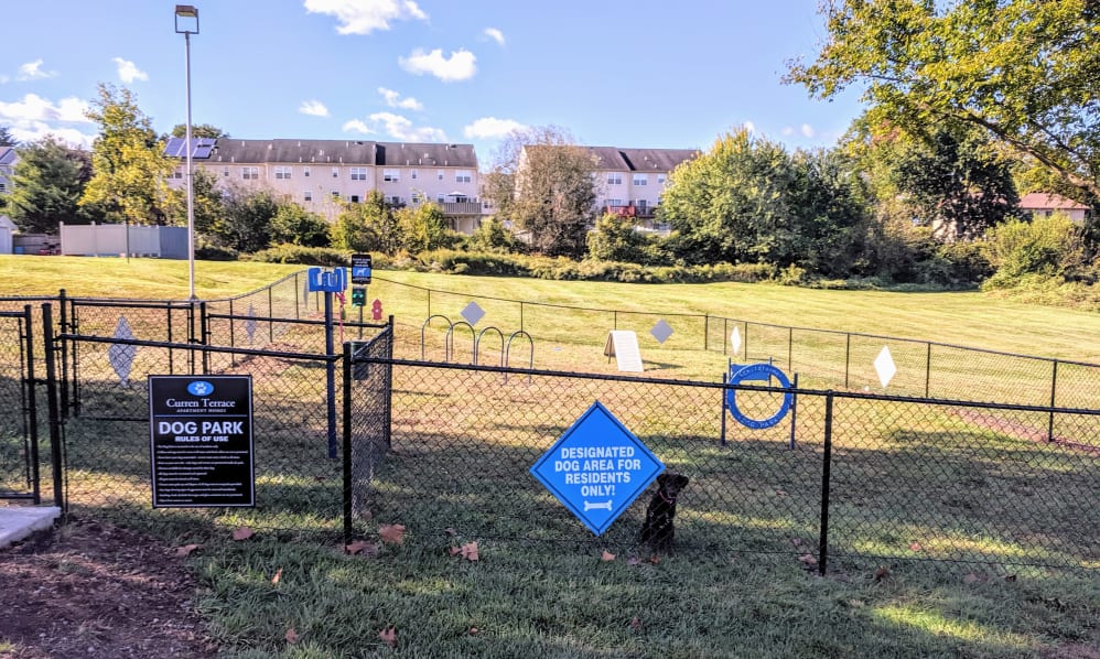 Curren Terrace Image 14