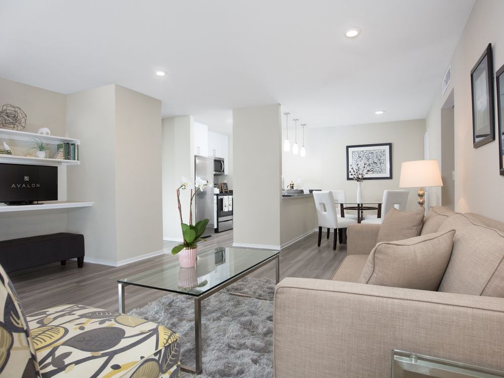 Modern Collection Living Dining Area With Hard Surface Flooring