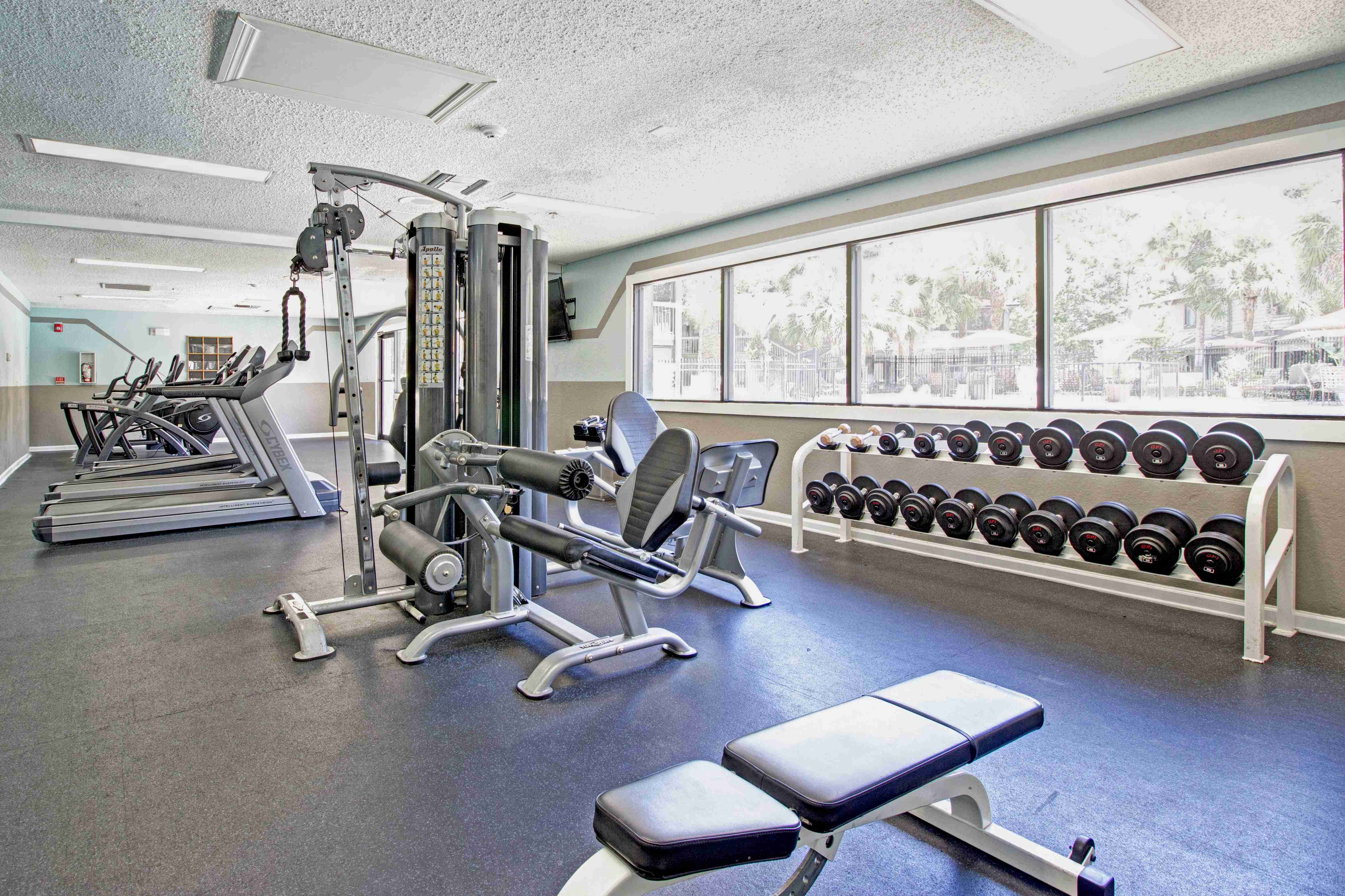 Sabal Club Image 15
