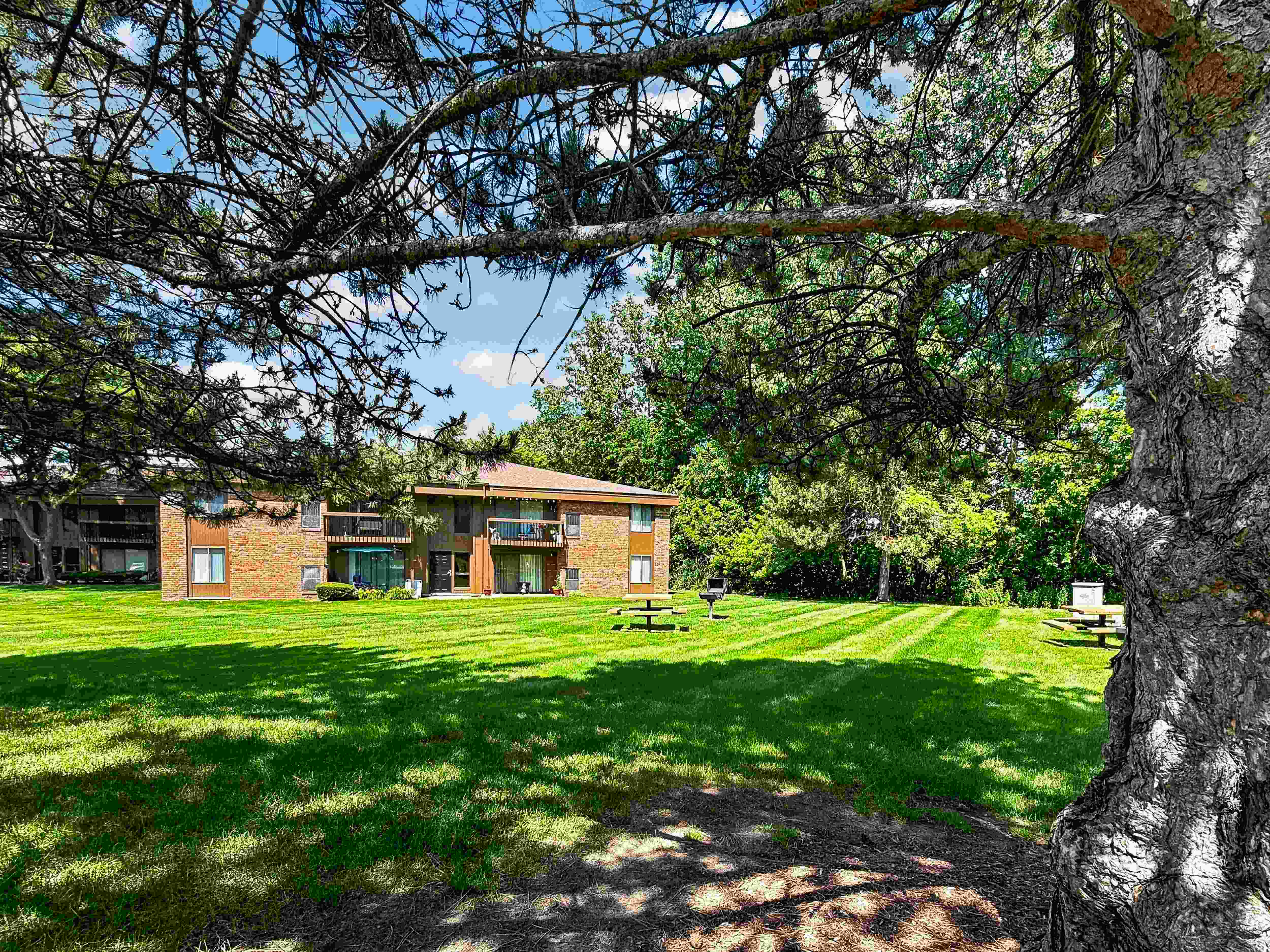 Expansive green space and picnic area at Eastwood Village Apartments in Clinton Township, MI.