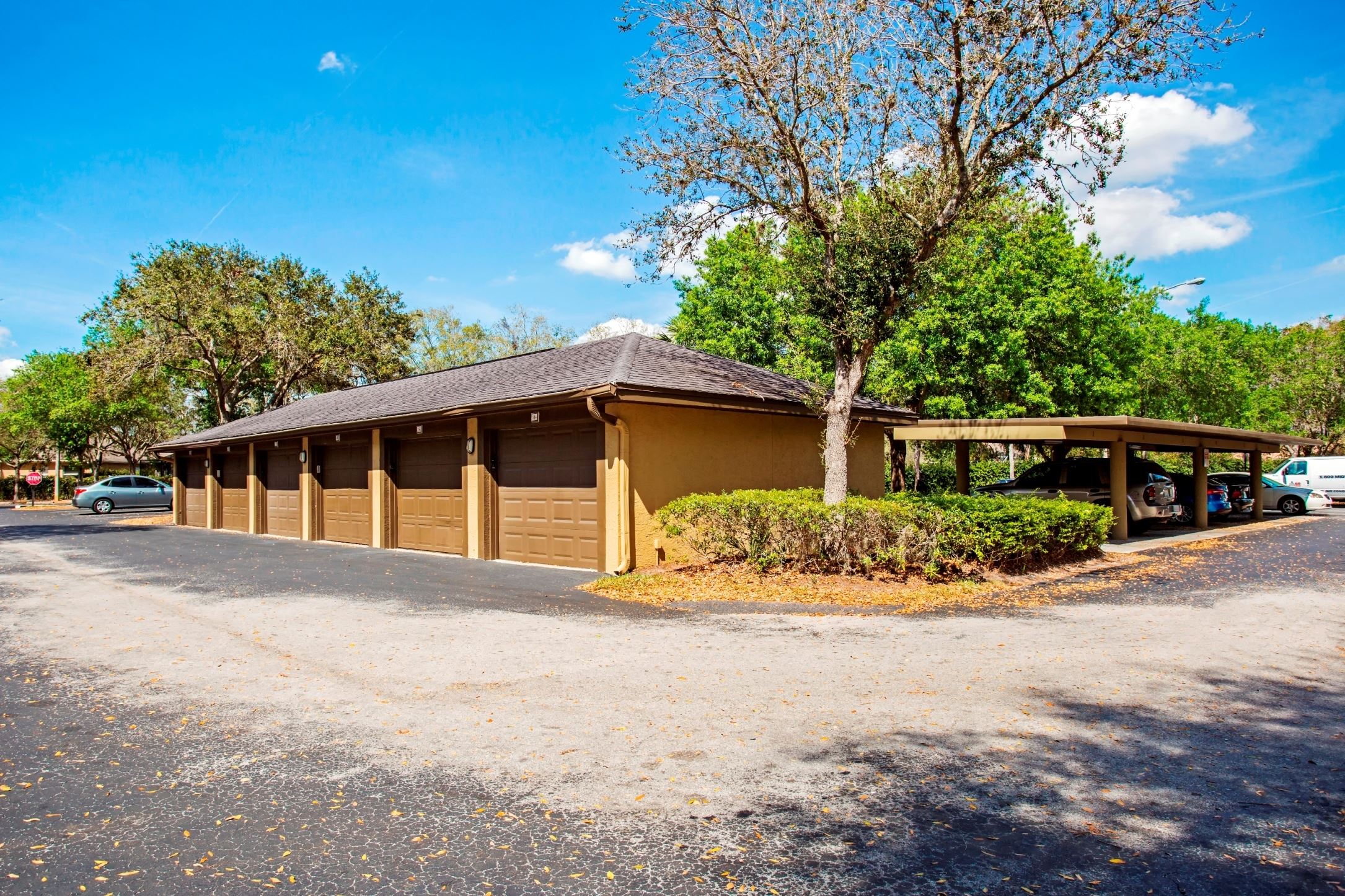 Sabal Palm at Carrollwood Image 25