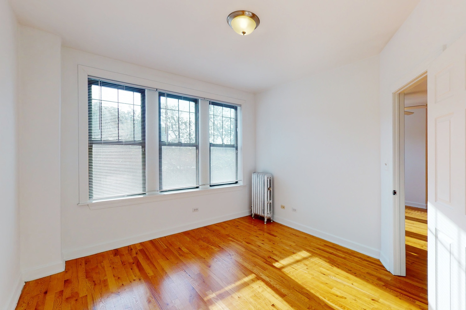 Woodlawn Court Image 11