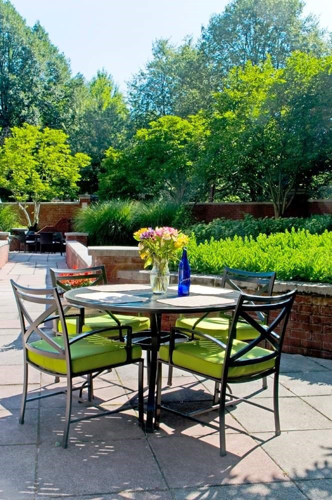 The Saratoga Image 1