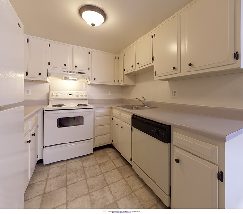 Eagle Stream Image 11