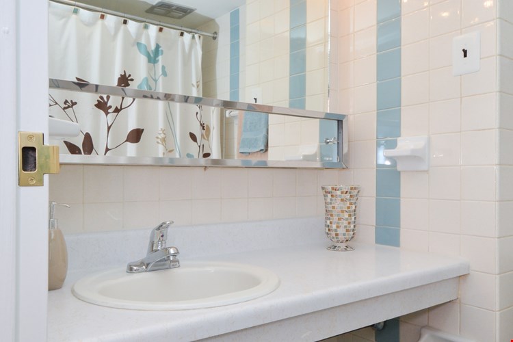 Lansdowne Towers Sample Bathroom