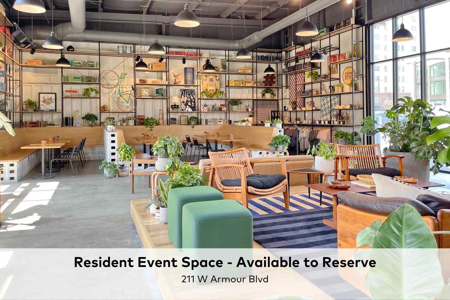 Paradise Flats Image 10