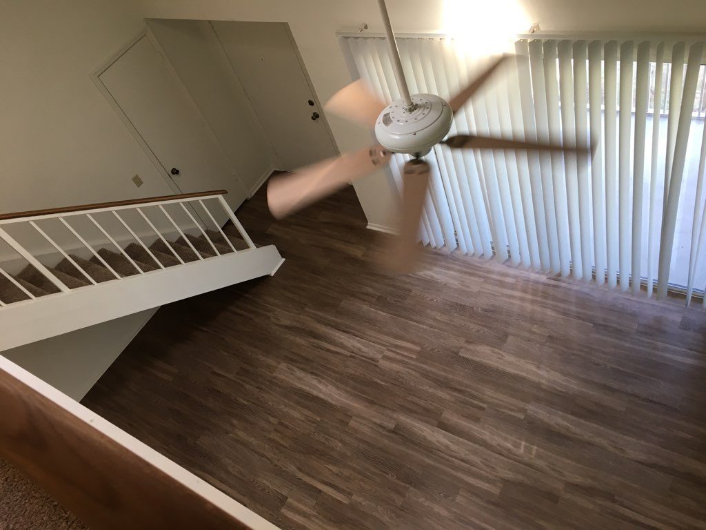 Lake in the Woods Image 21