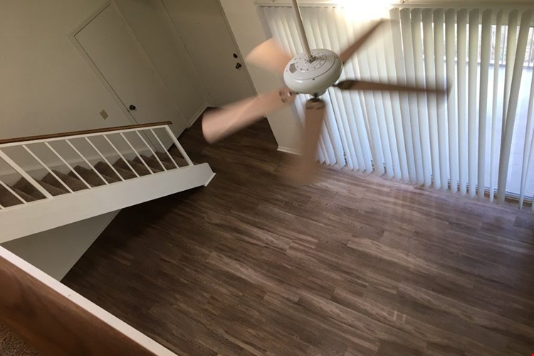 Lake in the Woods Image 21