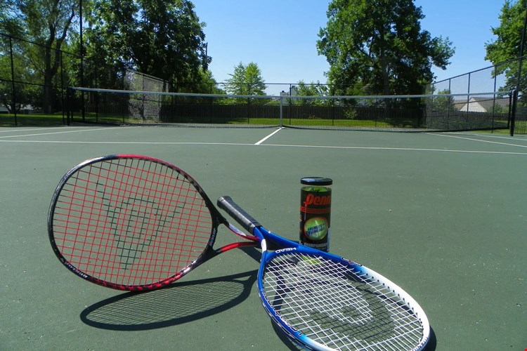 Autumn Chase Image 26