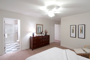 The Woods Apartments Image 10