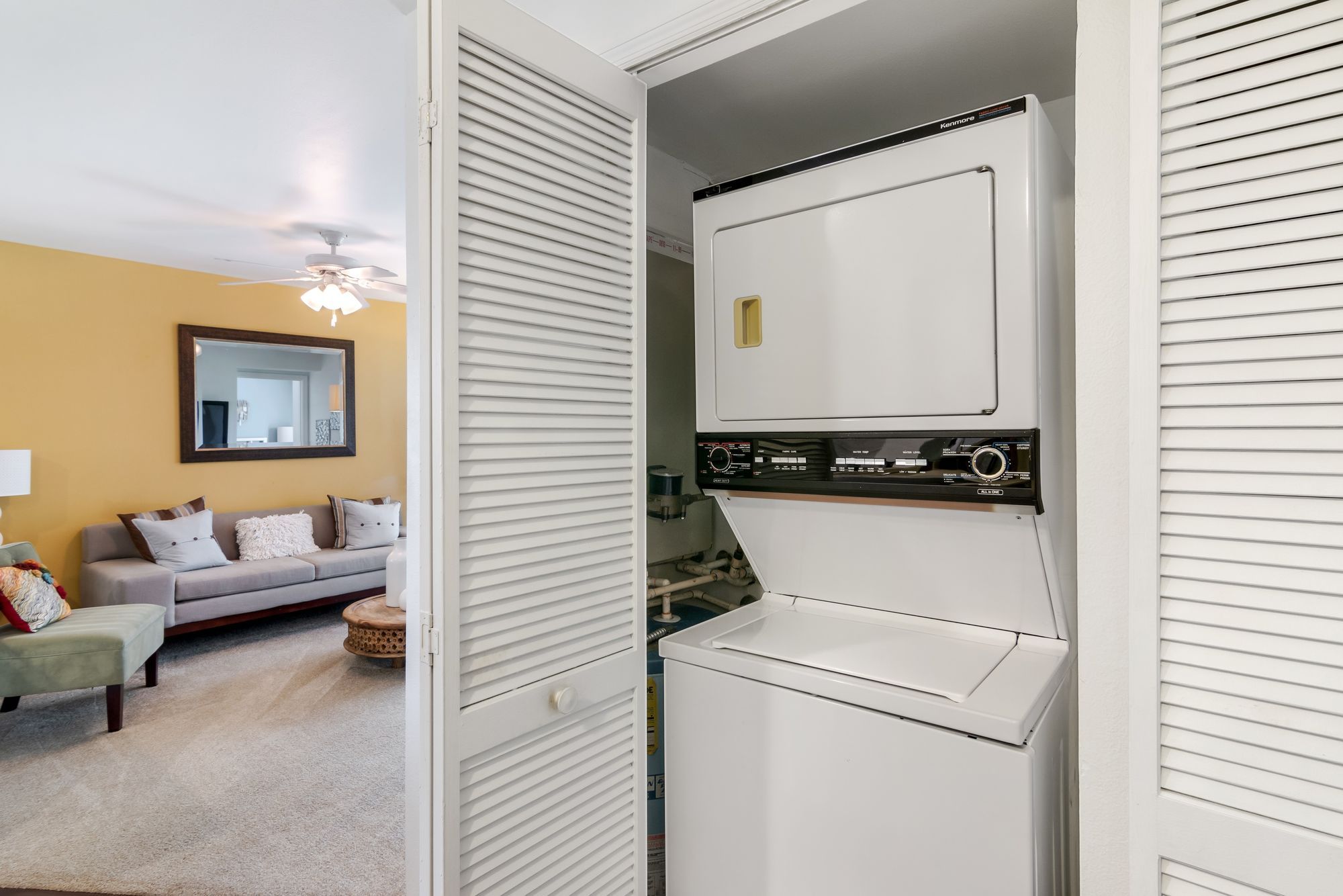 Arium Citrus Run Image 12