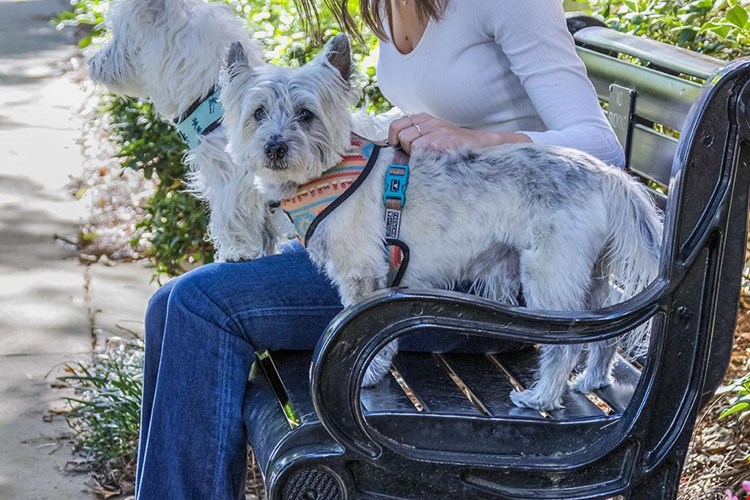 Camden Dilworth Image 18