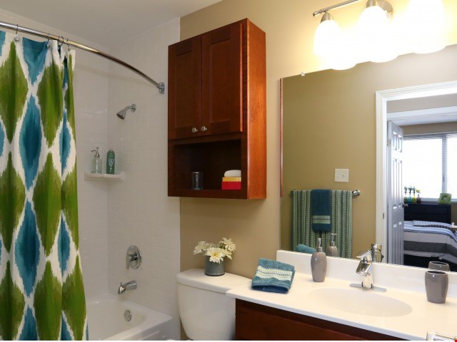 Village in the Park Image 9