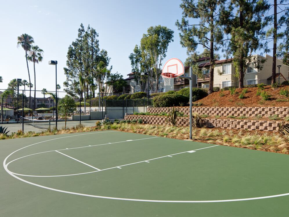 Basketball court