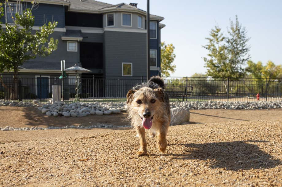 Camden Lakeway Image 35