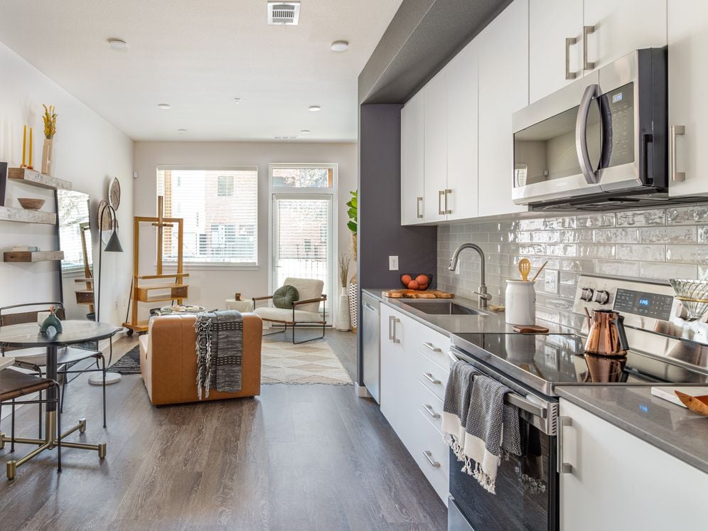 Scheme 1 Kitchen and Living Area