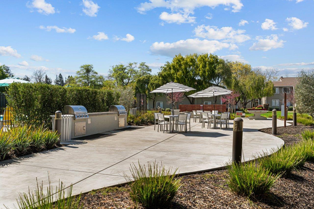 The Alexandar Image 19