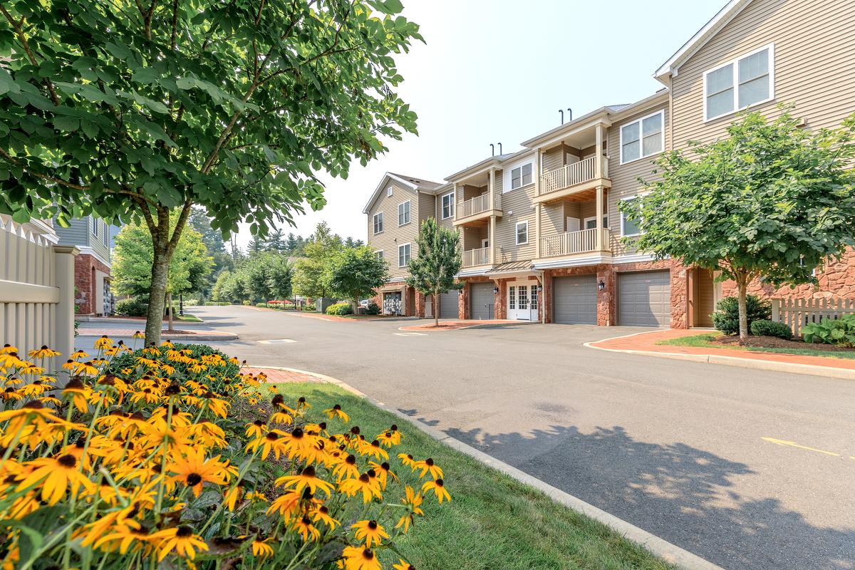 Mill Commons Image 3