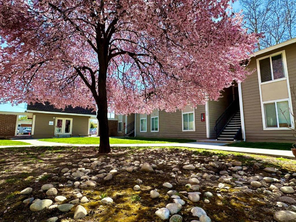 Central Pointe Image 12
