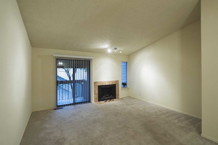 Pepper Tree Image 13