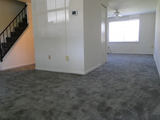 The Village Of Carrollwood Image 4