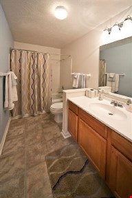 Main Street on the Monon Apartments Image 25