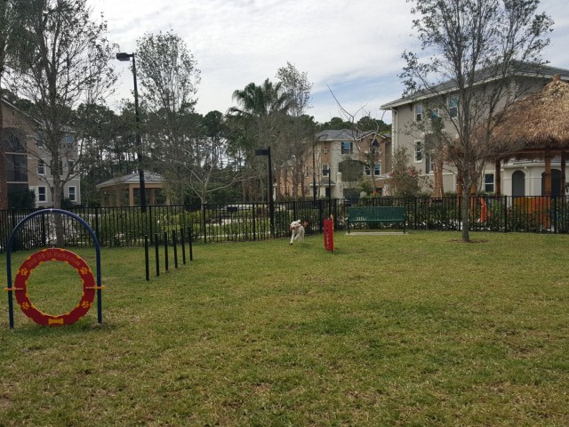 Dog park with agility equipment
