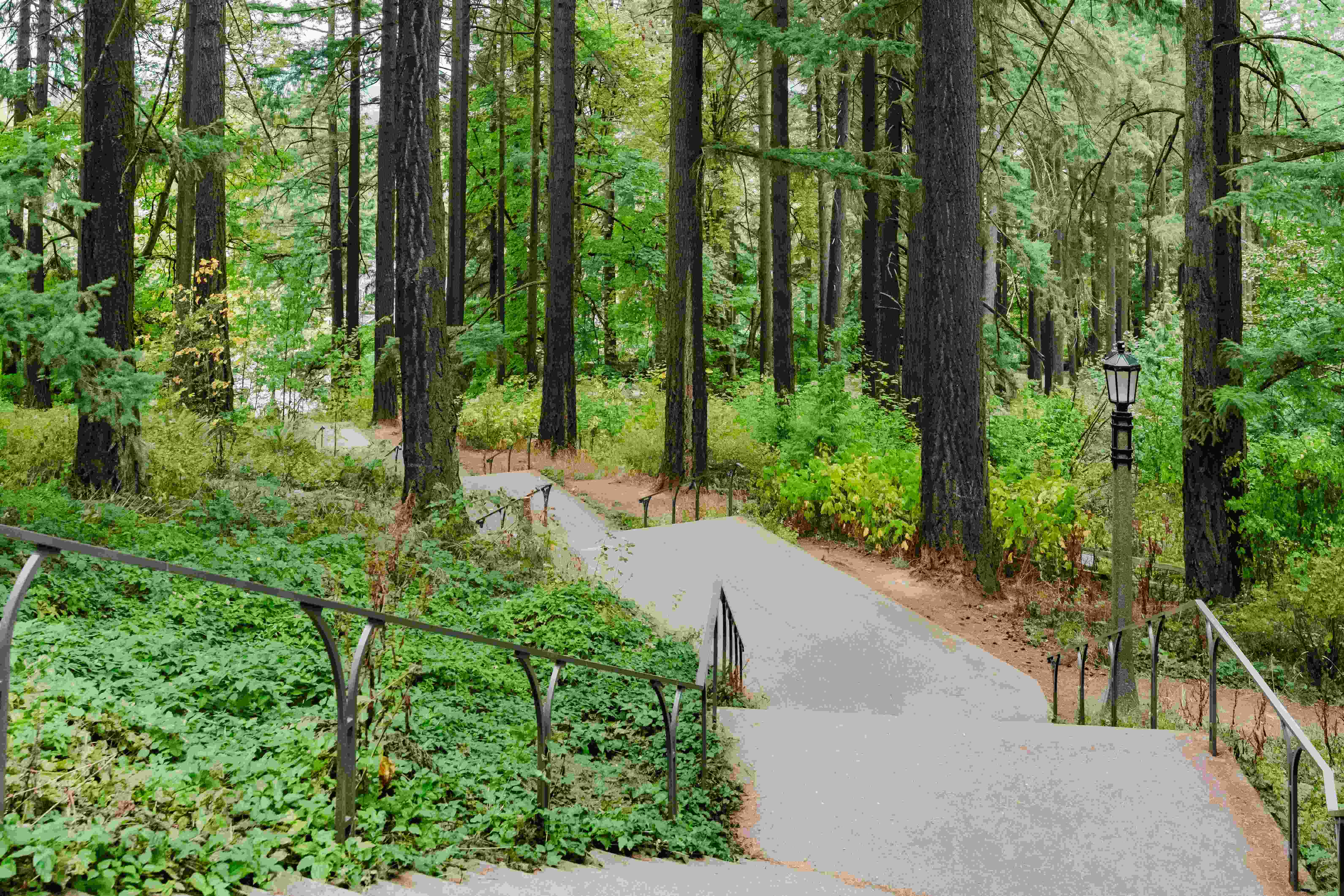 Mt. Tabor Park | Buckman Neighborhood