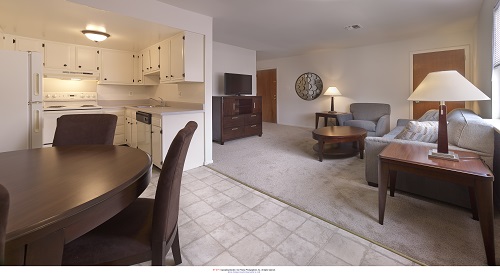 Eagle Stream Image 12