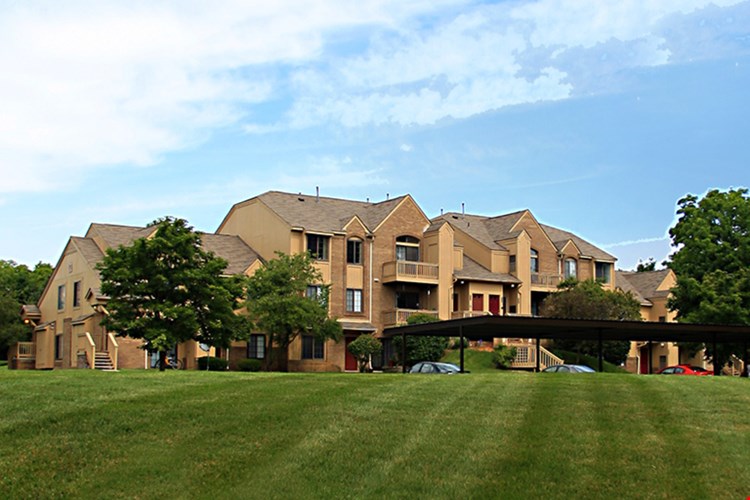 Saddle Creek Image 54