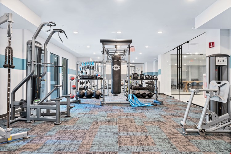 Camden Westwood Image 28