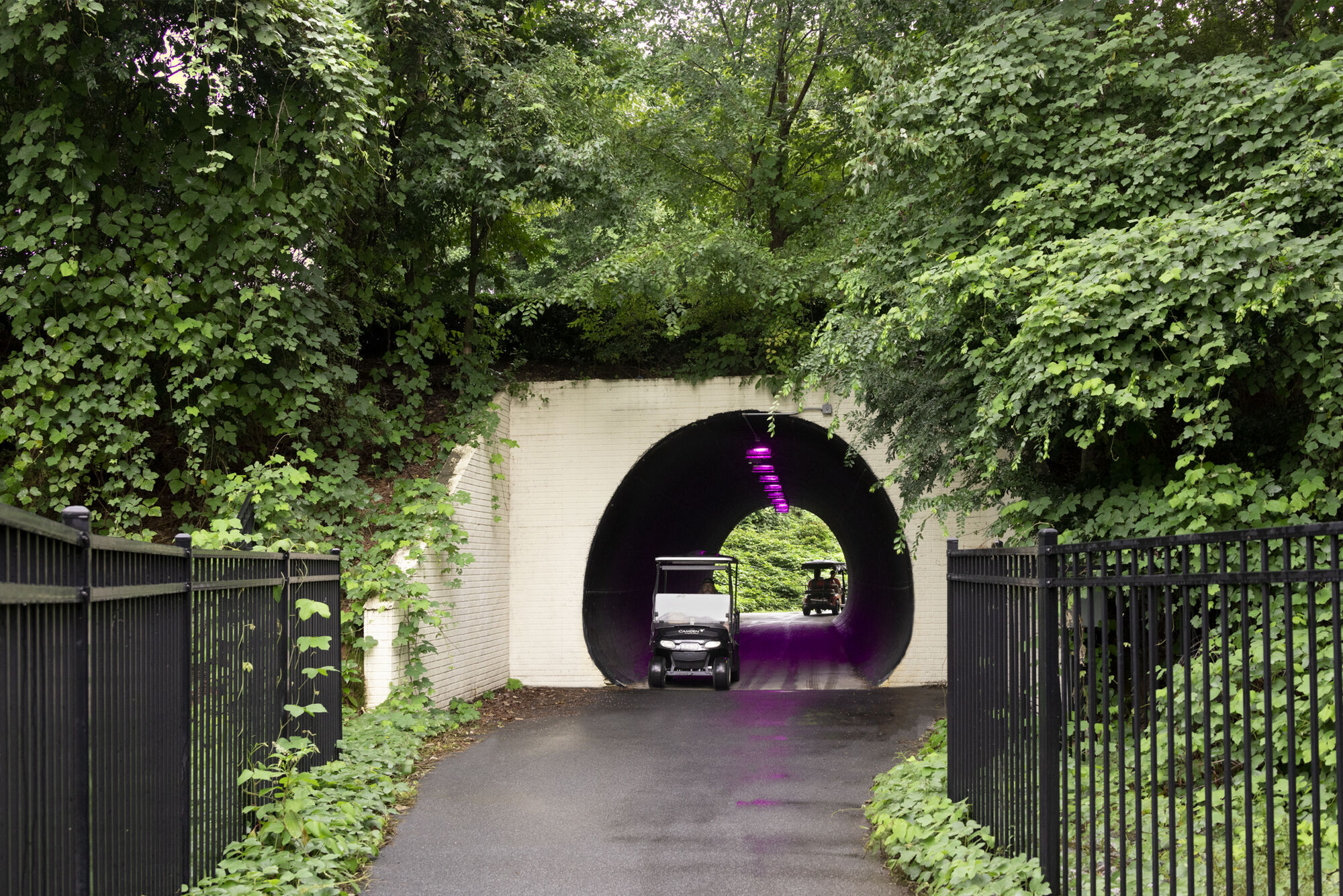 Camden Peachtree City Image 29