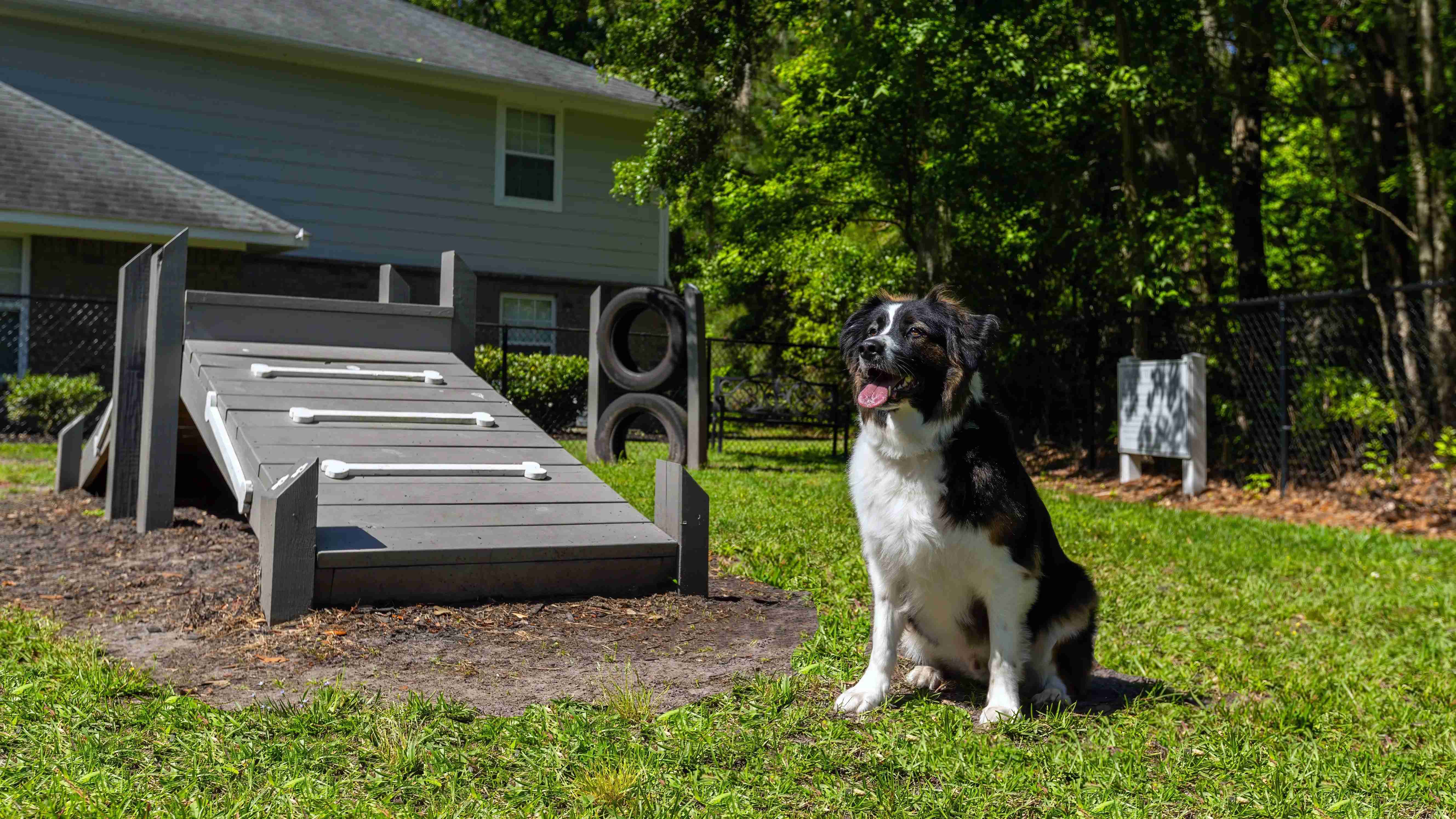 We welcome pets of all sizes at The Grays.