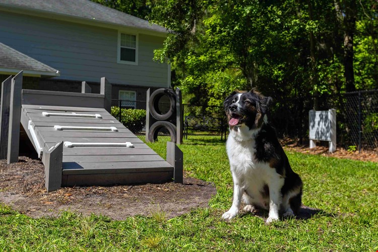 We welcome pets of all sizes at The Grays.