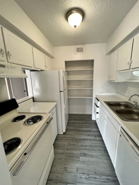 Palms at Chimney Rock Image 7