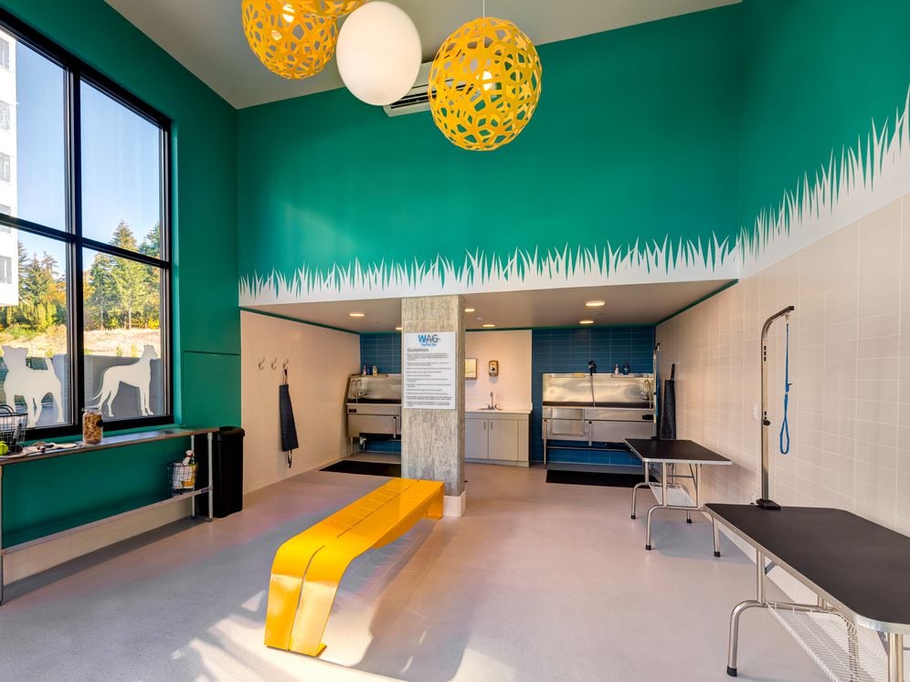 WAG pet spa with bathing and grooming equipment