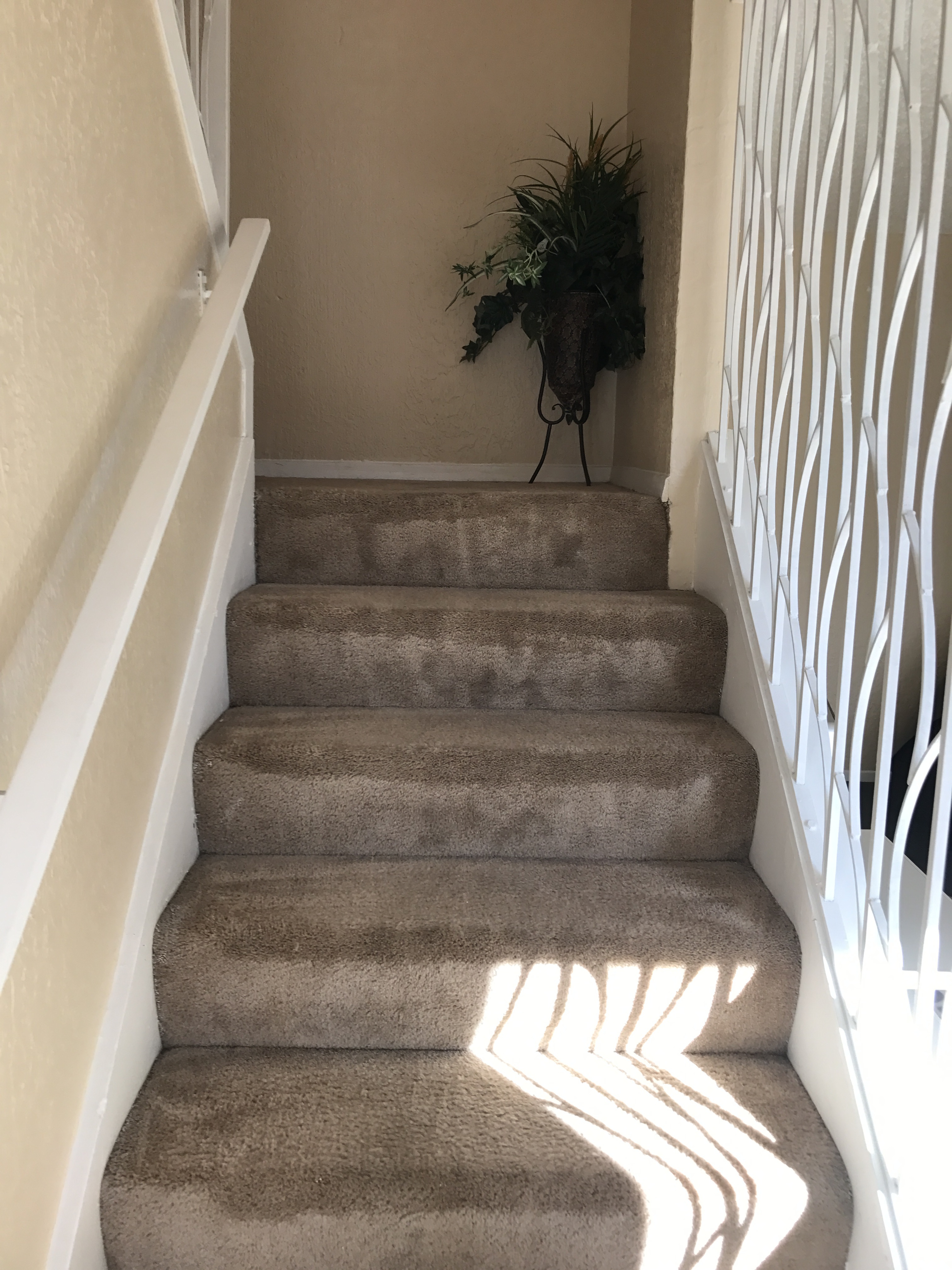 Copper Commons Image 13