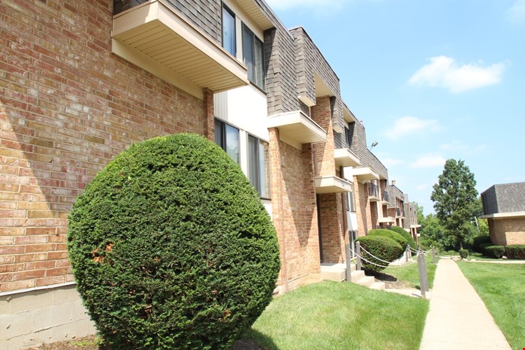 Wyoming Hills Image 3