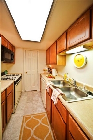 Main Street on the Monon Apartments Image 4