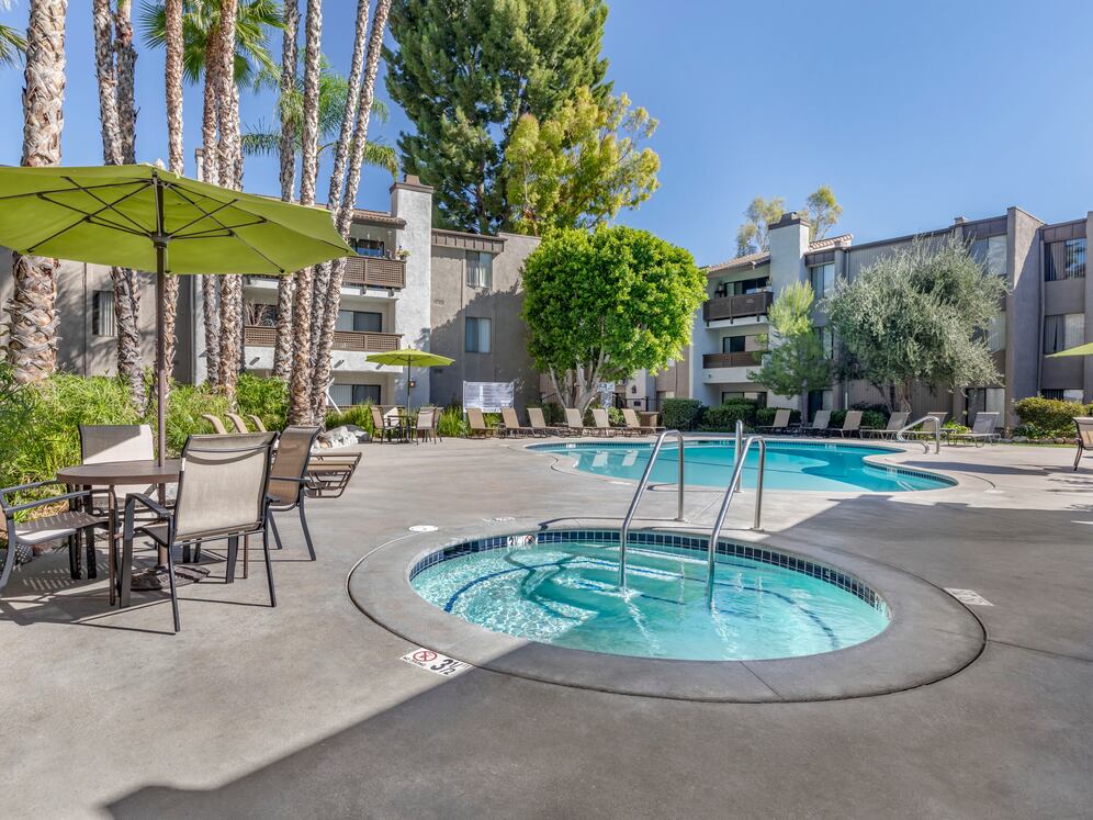 Swimming pool and spa