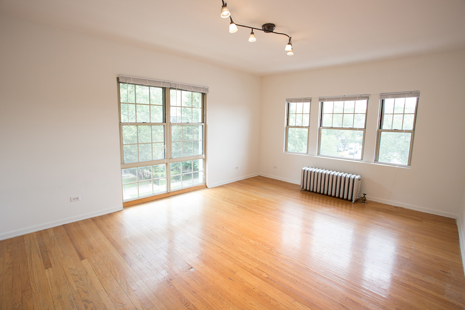 5528 South Cornell Image 3