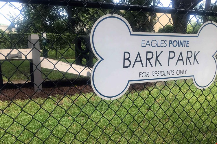 Let your furry friend off leash and try out the agility equipment at fenced in dog park!