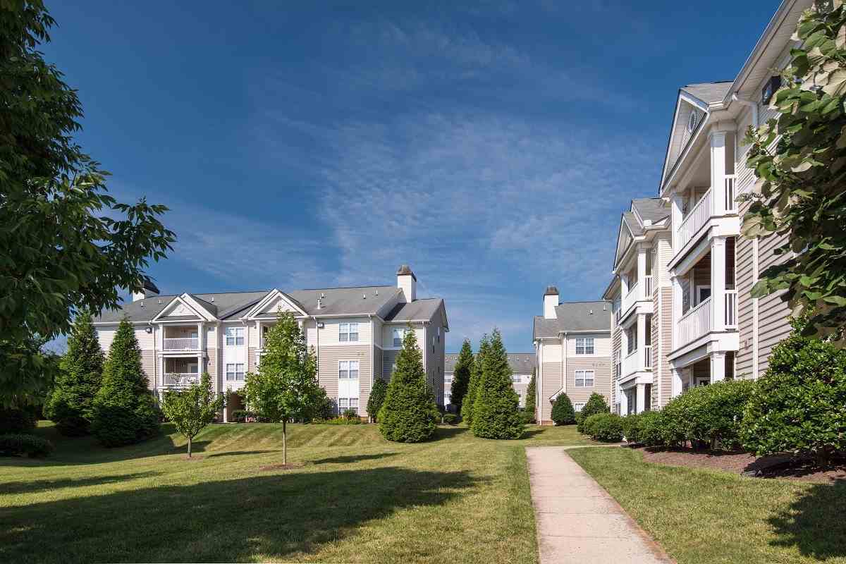 Stuart Hill  Image 1